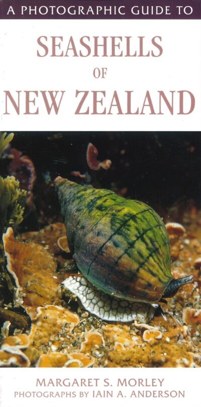 PHOTOGRAPHIC GUIDE TO THE SEASHELLS OF NEW ZEALAND