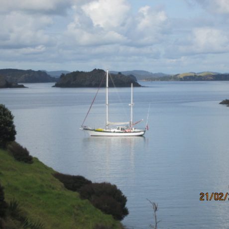 Te Kouma