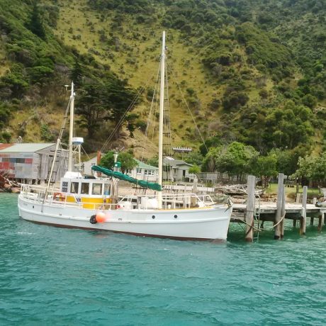 Wakatahuri and Kelvin