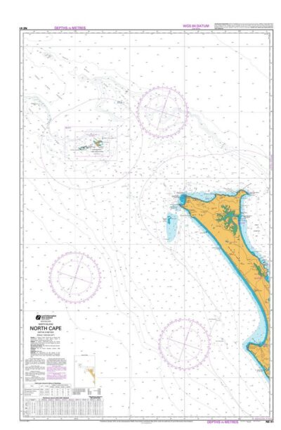 NZ41