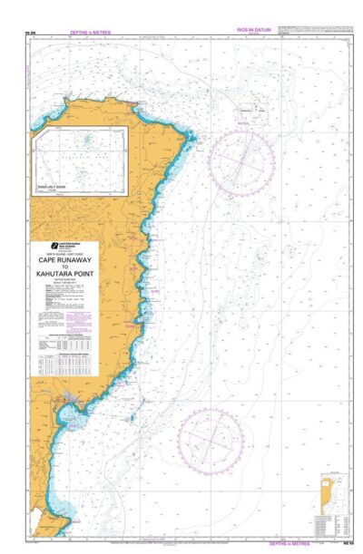 NZ55