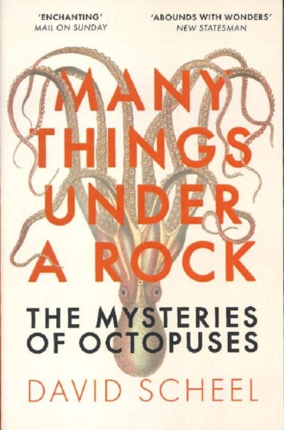MANY THINGS UNDER A ROCK