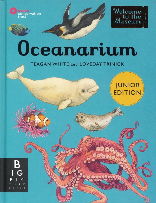 OCEANARIUM JUNIOR