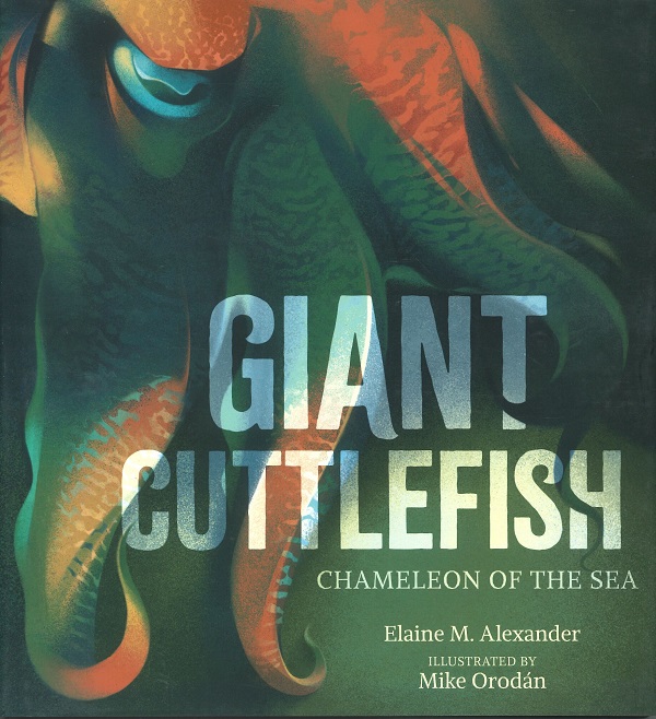 GIANT CUTTLEFISH - CHAMELEON OF THE SEA