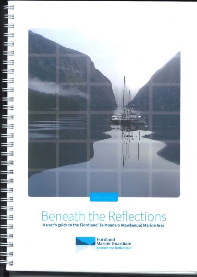 BENEATH THE REFLECTIONS