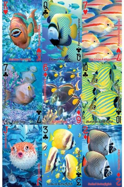 3D PLAYING CARDS